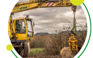 You have contaminated soil, now what?